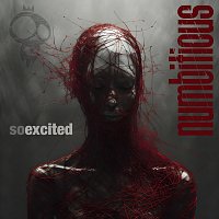 Přední strana obalu CD So Excited