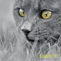 Mad Head Company – Catch It!