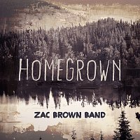Zac Brown Band – Homegrown