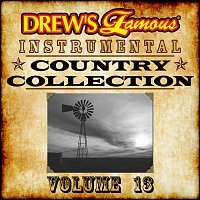 Přední strana obalu CD Drew's Famous Instrumental Country Collection Vol. 13