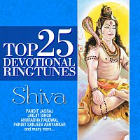 Různí interpreti – Top 25 Devotional Ringtunes - Shiva