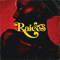 DJ Dever – Raíces