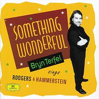 Bryn Terfel, The Orchestra of Opera North, Paul Daniel – Bryn Terfel - Something Wonderful