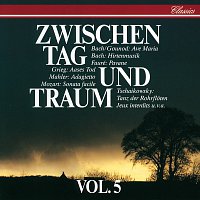 Různí interpreti – Zwischen Tag Und Traum Vol.5