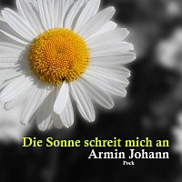 Armin Johann Pock – Die Sonne schreit mich an