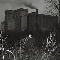 Caleydo – Orwell