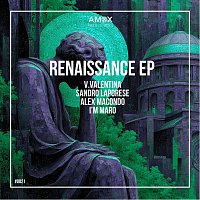 Přední strana obalu CD Renaissance EP