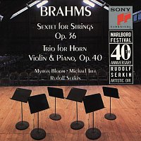 Brahms: Sextet, Op. 36; Horn Trio, Op. 40