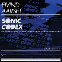Eivind Aarset – Sonic Codex