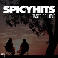 Různí interpreti – SPICYHITS - TASTE OF LOVE