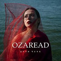 Přední strana obalu CD Дети чаек