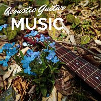 Lucas Silver, Aleko Nunez, Arlo Vega, Daniel Flowers – Acoustic Guitar Music