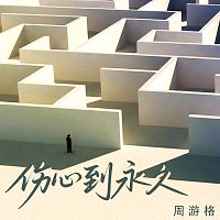 Přední strana obalu CD ?????