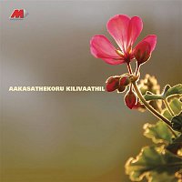 Aakasathekoru Kilivaathil (Original Motion Picture Soundtrack)