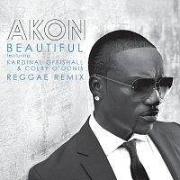 Akon, Colby O'Donis, Kardinal Offishall – Beautiful [Reggae Remix]