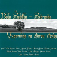 Šedifka Béďa & Sebranka – Vzpomínka na starou stezku MP3