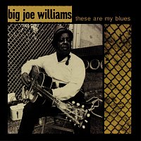 Big Joe Williams – These Are My Blues [Live]