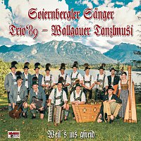 Soiernbergler Sanger, Trio'89, Wallgauer Tanzlmusi – Weil's ins gfreid