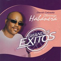 David Calzado y la Charanga Habanera – Grandes Exitos