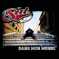 Sat L'Artificier – Dans mon monde