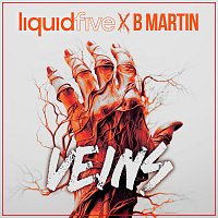 liquidfive, B Martin – Veins