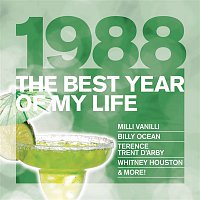 Various  Artists – The Best Year Of My Life: 1988