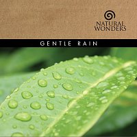 David Arkenstone – Gentle Rain