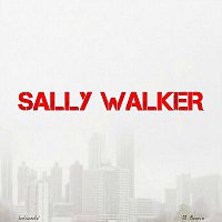 Přední strana obalu CD Sally Walker(Instrumental)