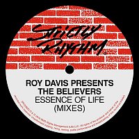 Roy Davis & The Believers – Essence Of Life
