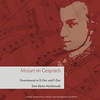 Mozart im Gesprach ... zerlegt, besprochen, wieder zusammengesetzt, musiziert ...