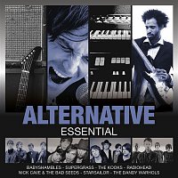 Přední strana obalu CD Essential: Alternative