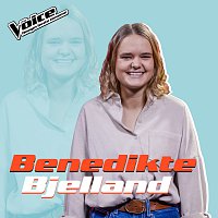 Benedikte Bjelland – Toxic [Fra TV-Programmet "The Voice"]