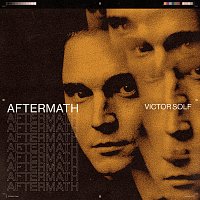Victor Solf – Aftermath