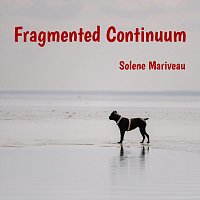 Přední strana obalu CD Fragmented Continuum