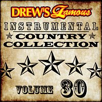 Přední strana obalu CD Drew's Famous Instrumental Country Collection [Vol. 30]