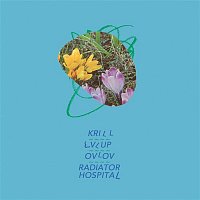 Krill, LVL UP, Ovlov & Radiator Hospital – Krill, LVL UP, Ovlov & Radiator Hospital - Split Release