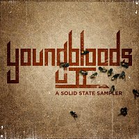 Přední strana obalu CD Youngbloods II: A Solid State Sampler