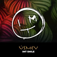 IMT Smile – ÚSMEV