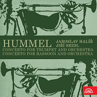 Hummel: Koncert pro trubku a orchestr, Koncert pro fagot a orchestr