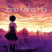 Jana Kaha Hai [Lofi Flip]
