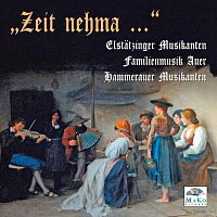 Elstatzinger Musikanten, Familienmusik Auer, Hammerauer Musikanten – "Zeit nehma..."