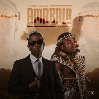 Přední strana obalu CD Amabala