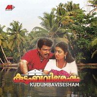 Johnson – Kudumbavisesham (Original Motion Picture Soundtrack)