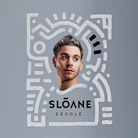 Přední strana obalu CD Désolé