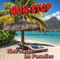 Non-STOP – Eine Nacht im Paradies