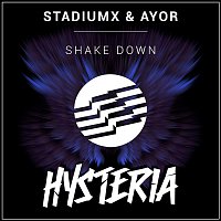 Stadiumx & AYOR – Shake Down