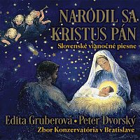 Různí interpreti – Narodil sa Kristus Pán. Slovenské vianočné piesne