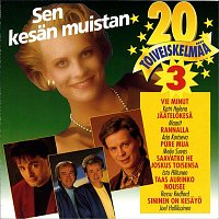 Various  Artists – 20 Toiveiskelmaa 3 - Sen kesan muistan