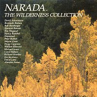 David Arkenstone, Bernardo Rubaja, Ralf Illenberger, Spencer Brewer, Eric Tingstad – The Narada Wilderness Collection