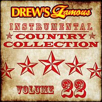 The Hit Crew – Drew's Famous Instrumental Country Collection [Vol. 22]